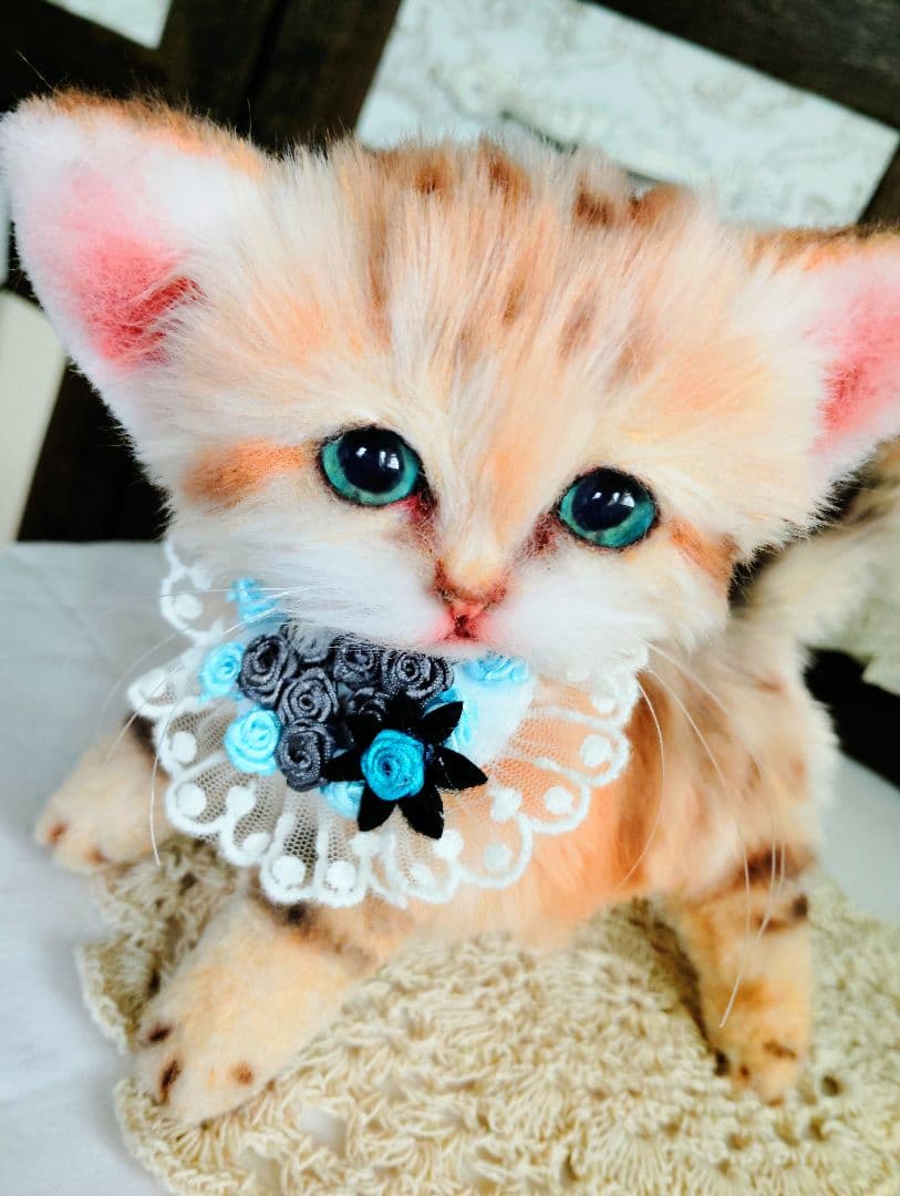 スナネコちゃん❤子猫♥まなあきちゃんご予約♥