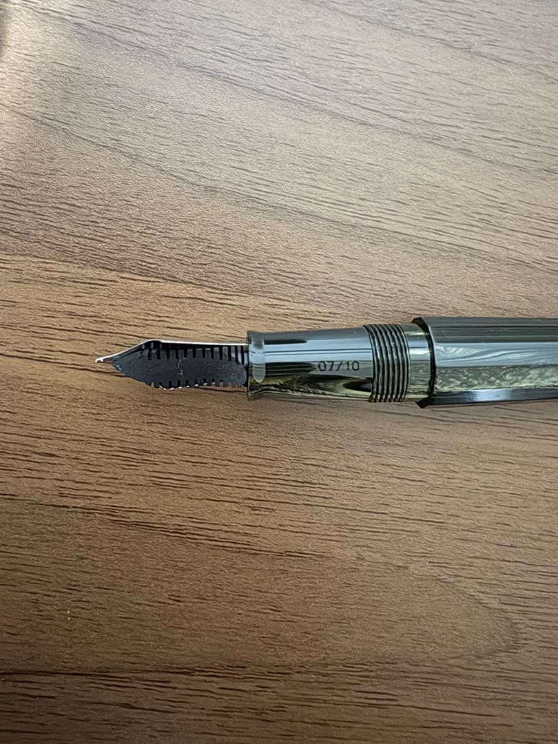 万年筆 レオナルド Wild World Celluloid LE