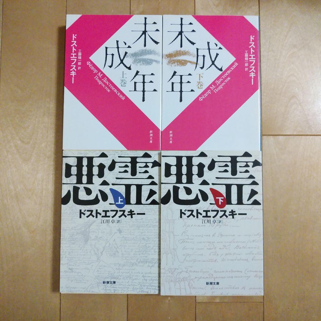 ドストエフスキー　19冊セット　罪と罰、未成年、悪霊、カラマーゾフの兄弟、白痴等