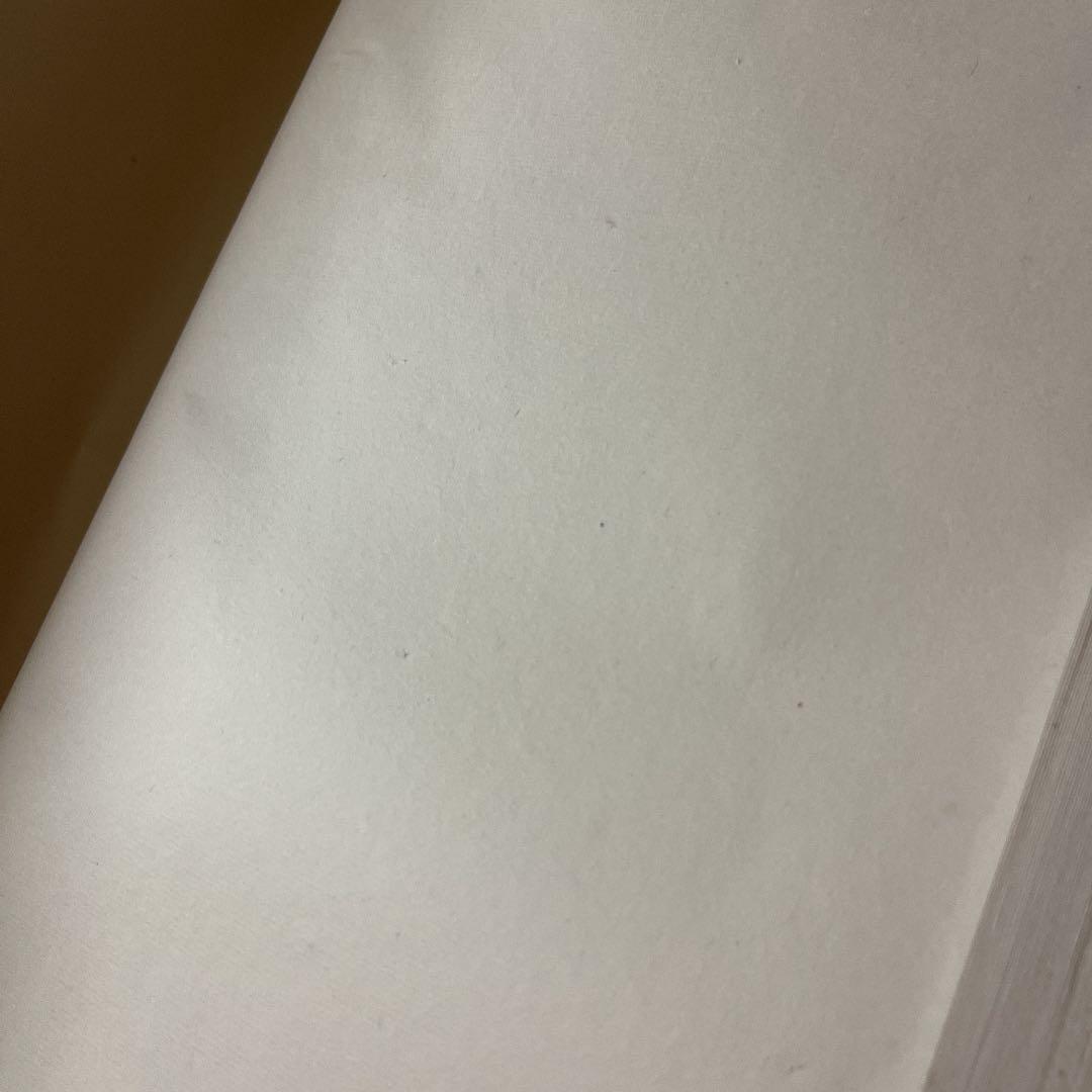 蘭亭牌　四尺単宣100枚4反　お値下げ中