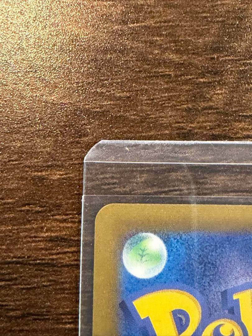 橋*本様 美品 ナンジャモ SAR SV2D クレイバースト 096/071