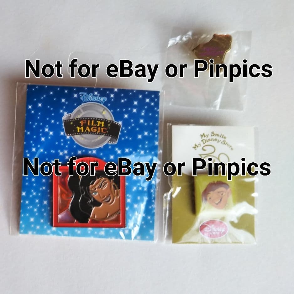 ディズニー ストア ノートルダムの鐘 エスメラルダ カジモド ピンバッジ ピン