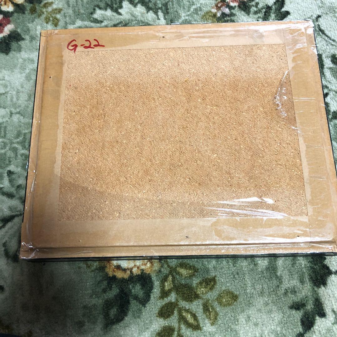 東南アジア系の蝶の標本です。