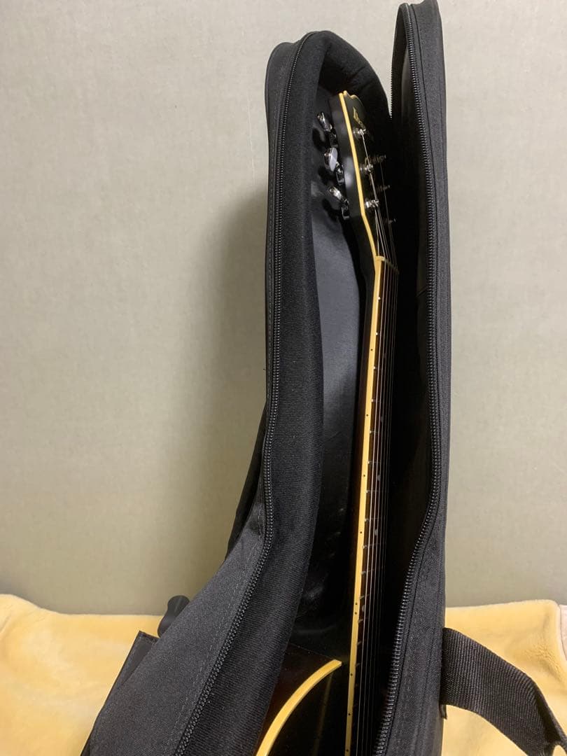 Ibanez ARTCORE AK80-DVF-12-01 フルアコ