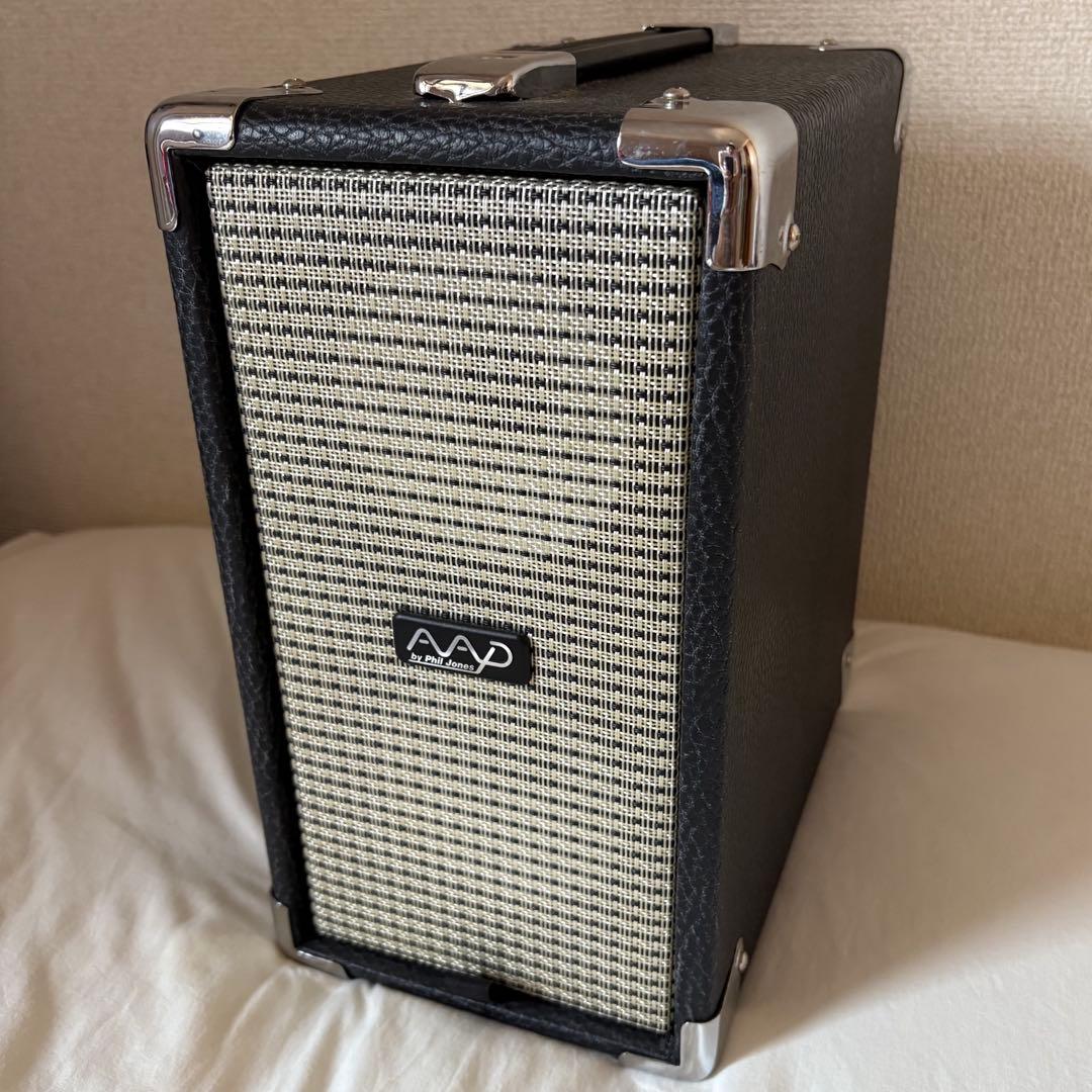 AAD by Phil Jones CUB AG-100 ギターアンプ