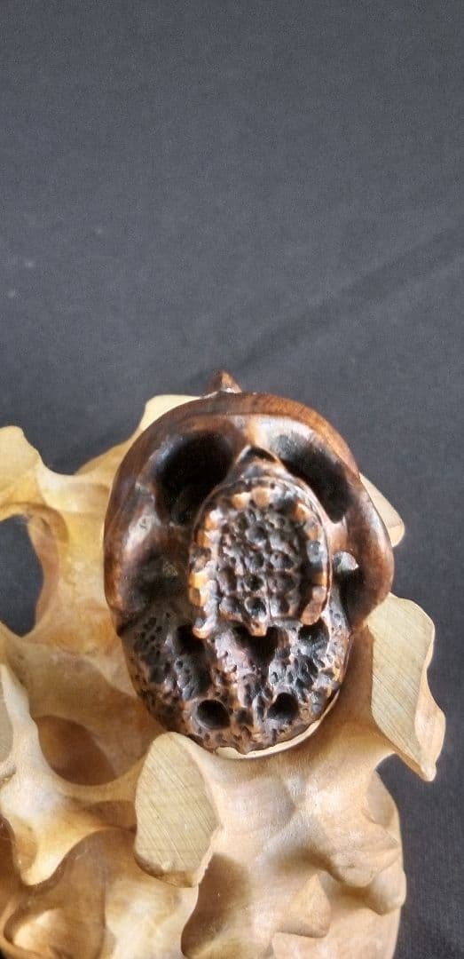 根付け木製 、提げ物、頭蓋骨 ヘビ 彫刻 約3,5cm、作家名あり