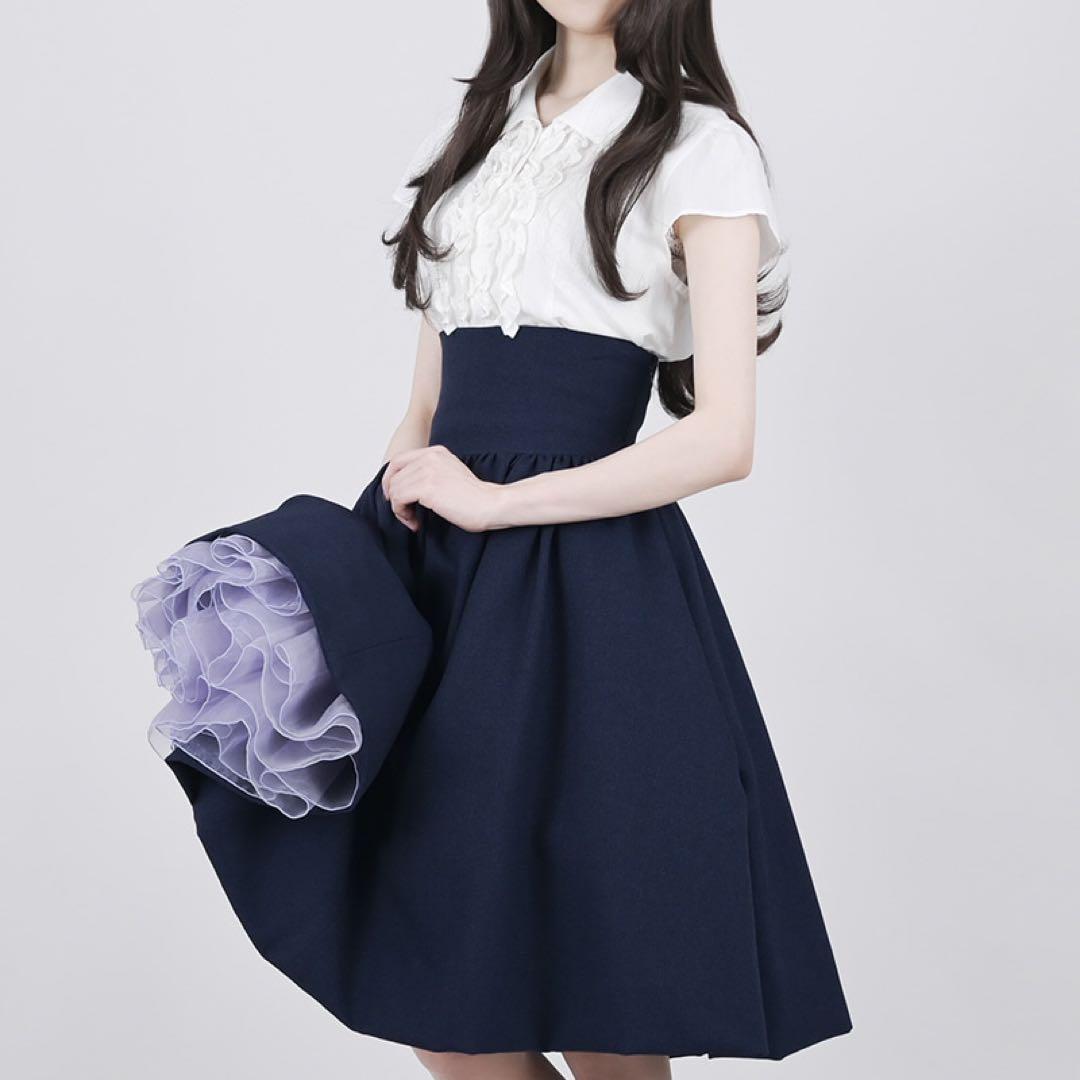 NO.S PROJECT 二次元と運命が交差するスカート　ネイビー　Mサイズ
