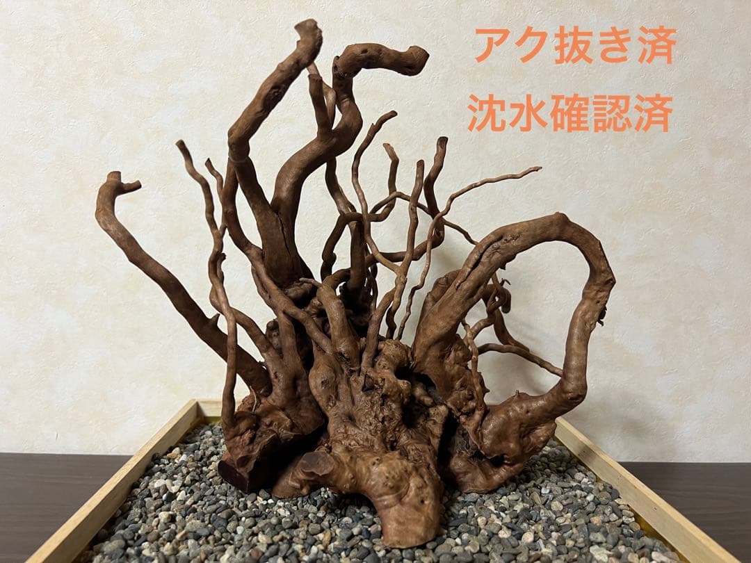 10936 ブランチウッド　流木　アクアリウム　沈水確認済