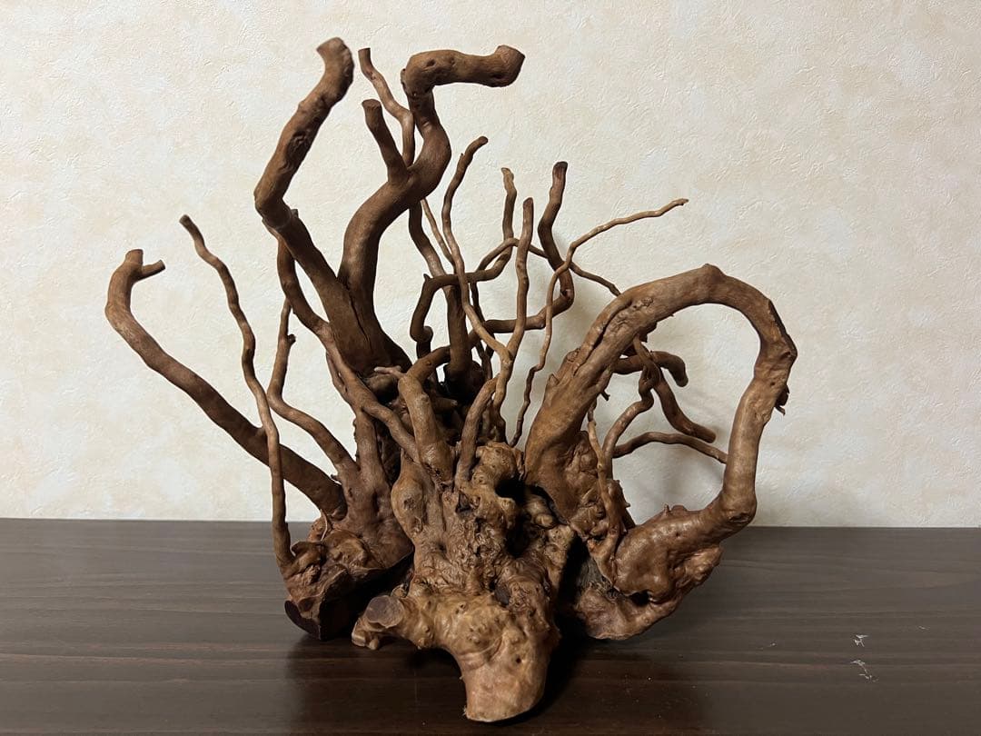 10936 ブランチウッド　流木　アクアリウム　沈水確認済