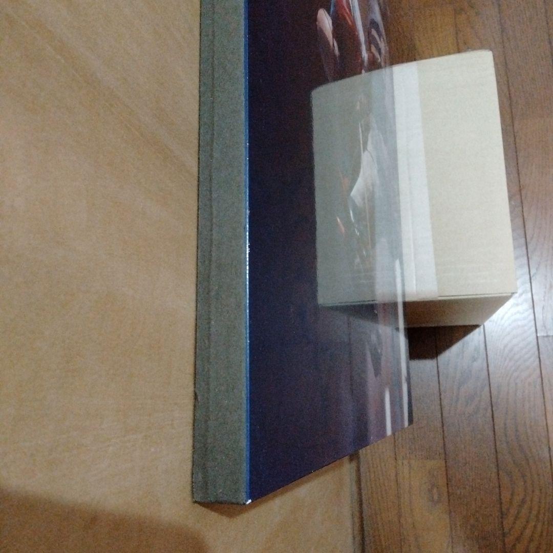 稲妻２世芦毛タマモクロス写真パネル（１９８８年１２月２５日中山有馬記念）引退記念