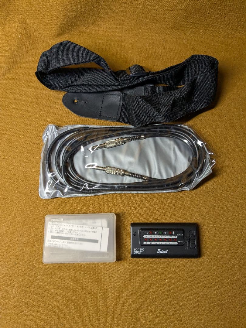 エピフォン　Epiphone　レスポールタイプ　100 エレキギター