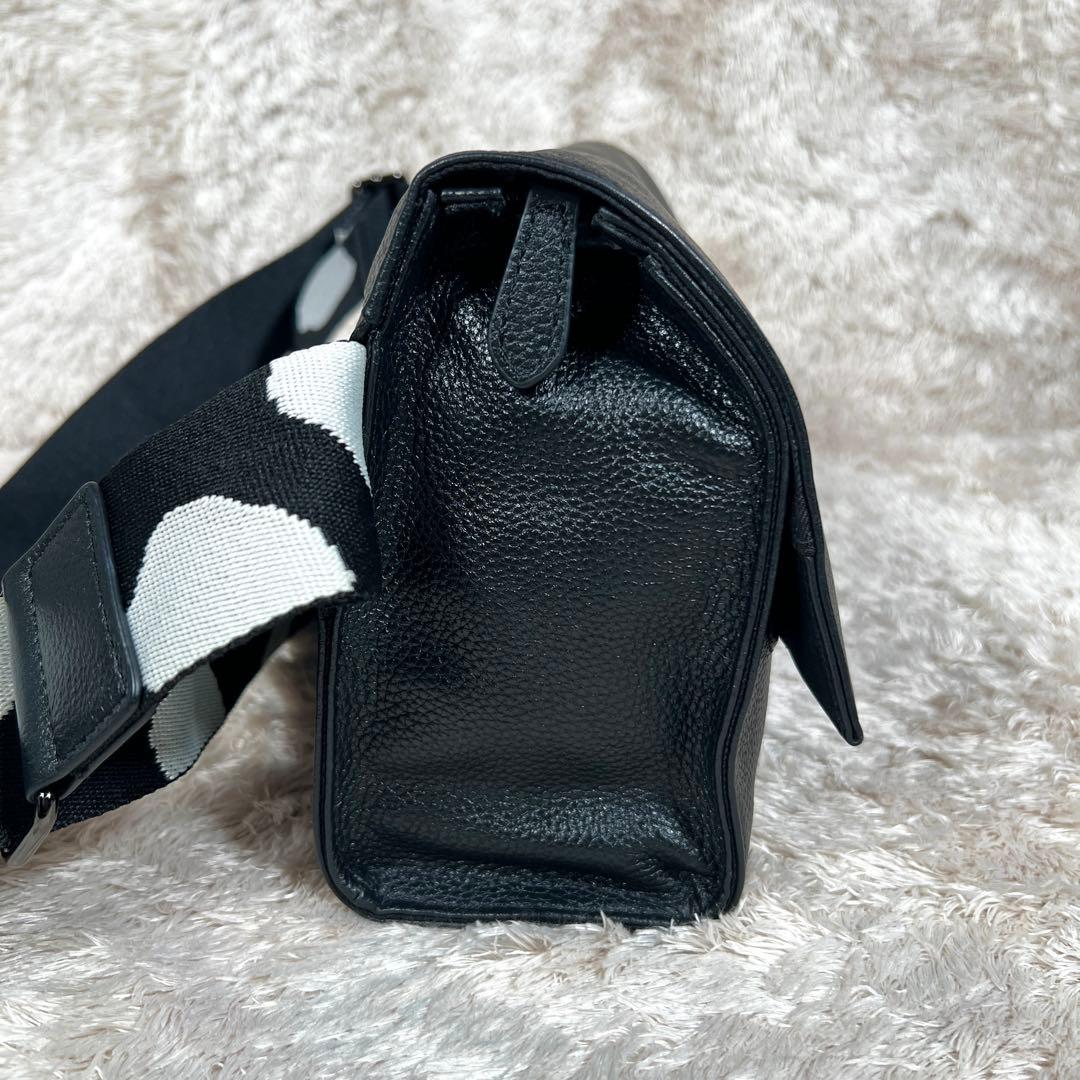 極美品　ear PAPILLONNE ショルダーバッグ ワイド　ダルメシアン