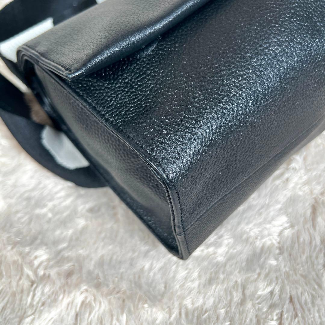 極美品　ear PAPILLONNE ショルダーバッグ ワイド　ダルメシアン