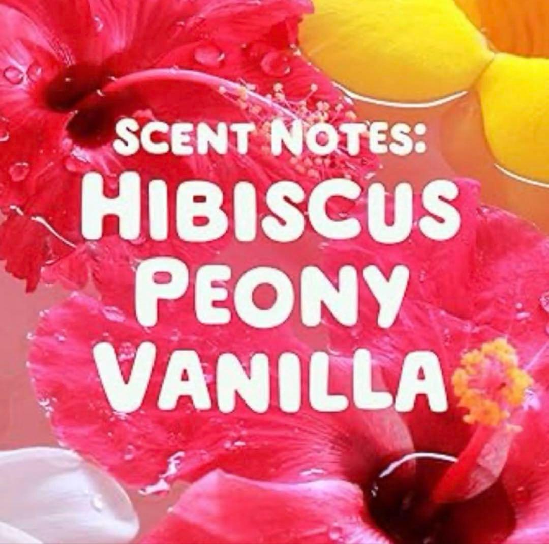 *mahalo* 新品Gainゲイン洗濯洗剤ジェルボール等3点セット