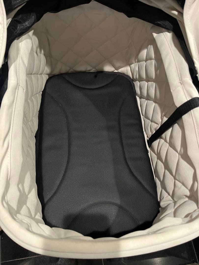 エアバギーウィズエックス　パールホワイト