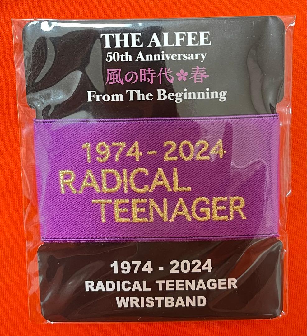 THE ALFEE ペナントキーホルダー(Birthday)&リストバンド