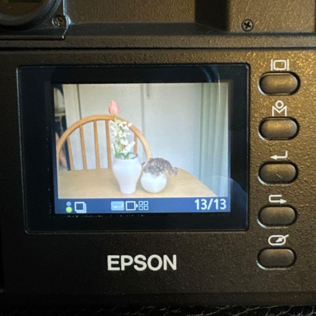 【ワンオーナー品】エプソン R-D1S 動作快調 美品