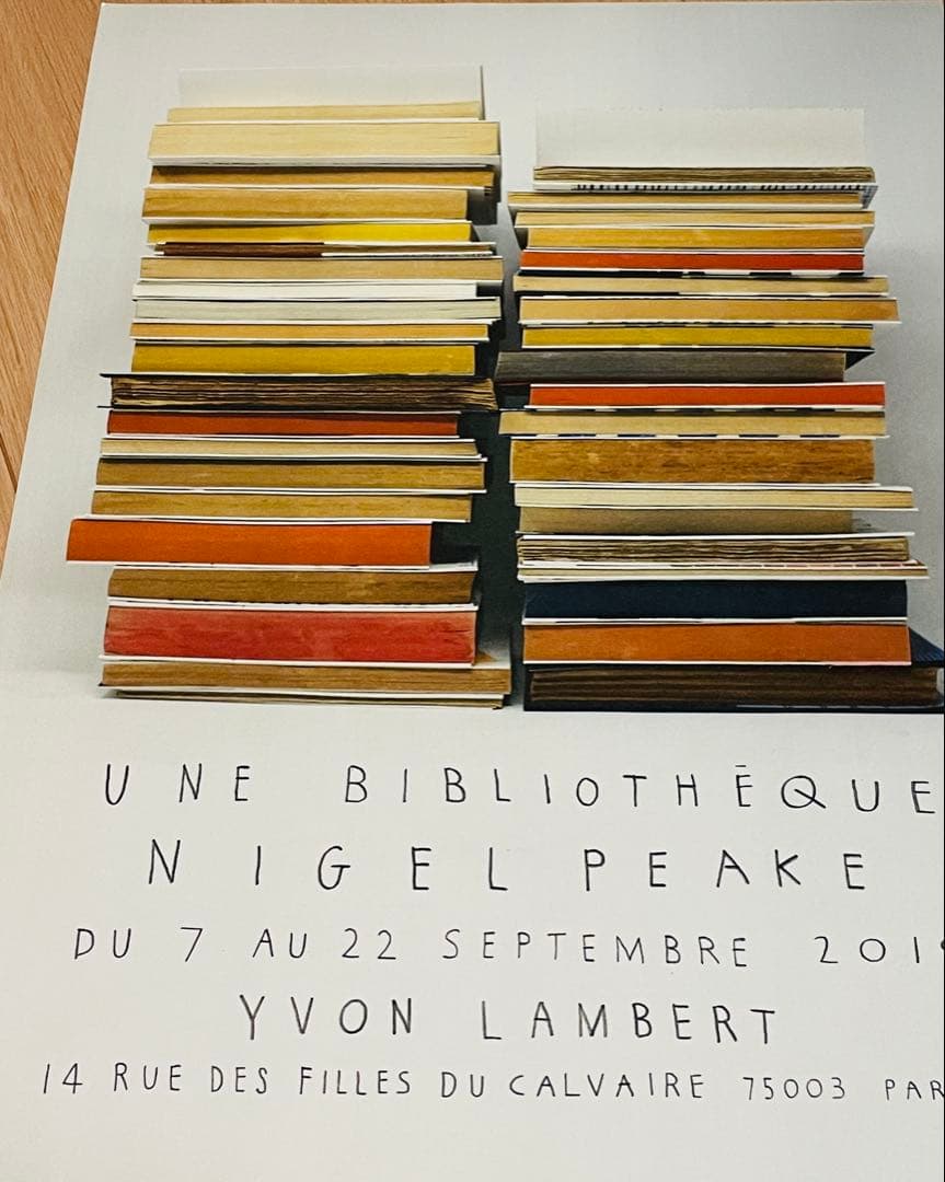 フランス現地完売品 人気北欧アーティストNigel Peake 両面ポスター