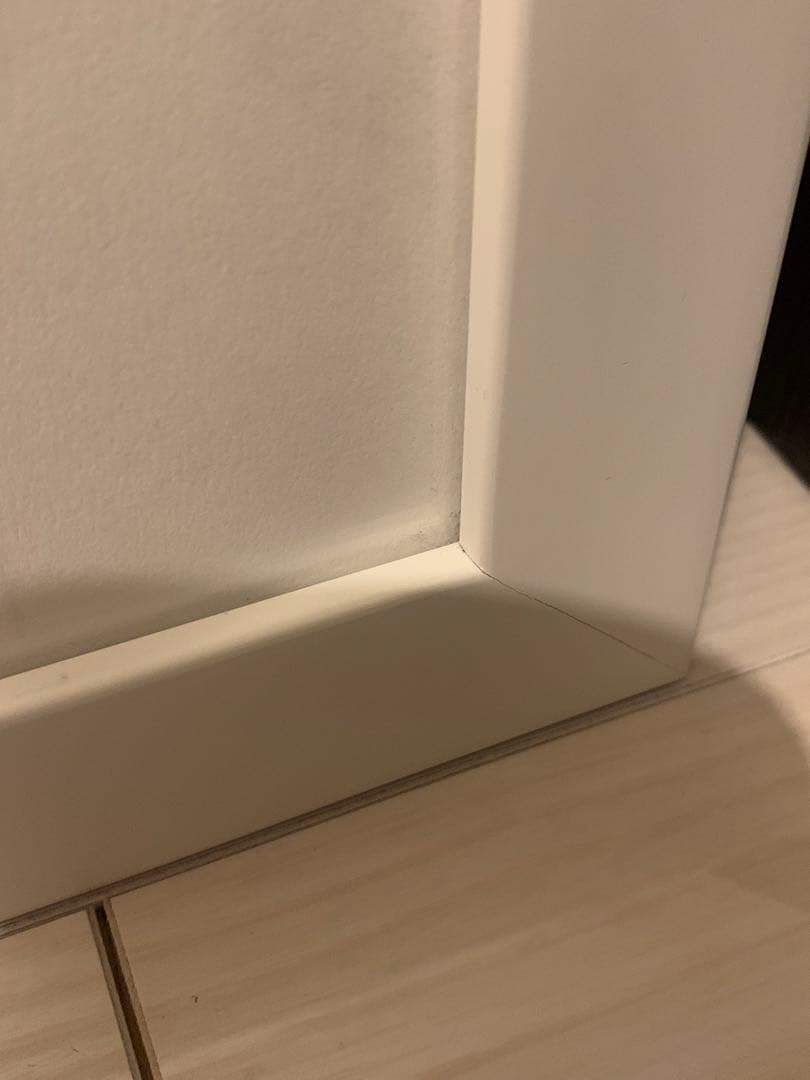 ジョジョの奇妙な冒険　複製原画　承太郎&イギー