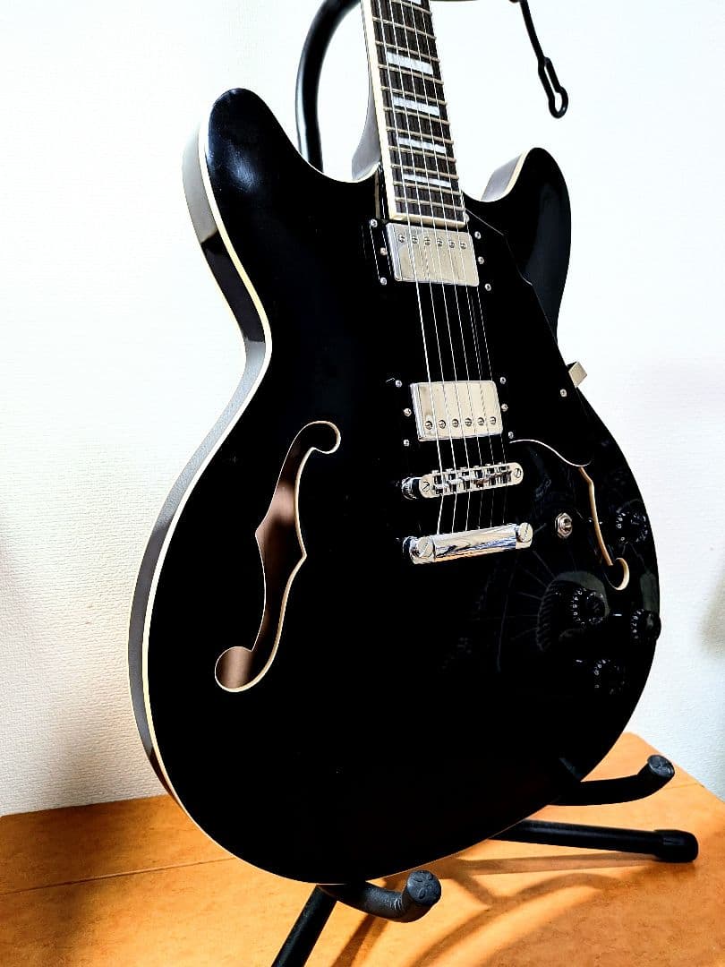 Redial セミアコースティックギター ブラック