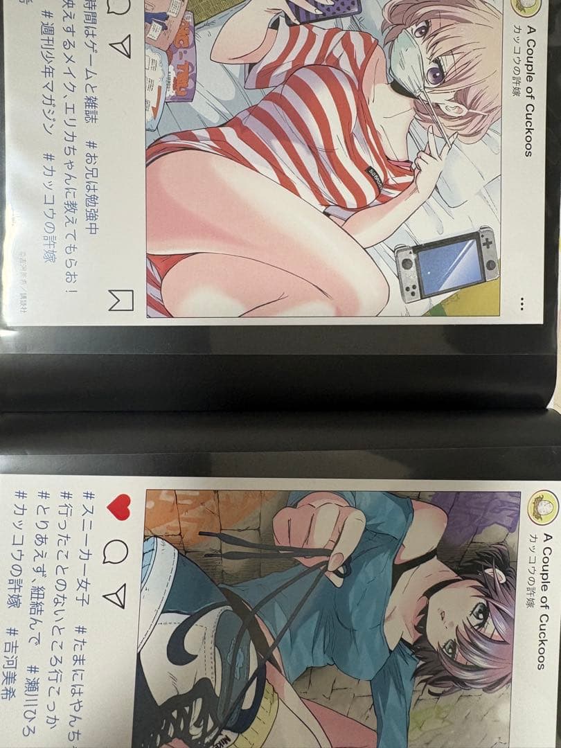 カッコウの許嫁 特別画集