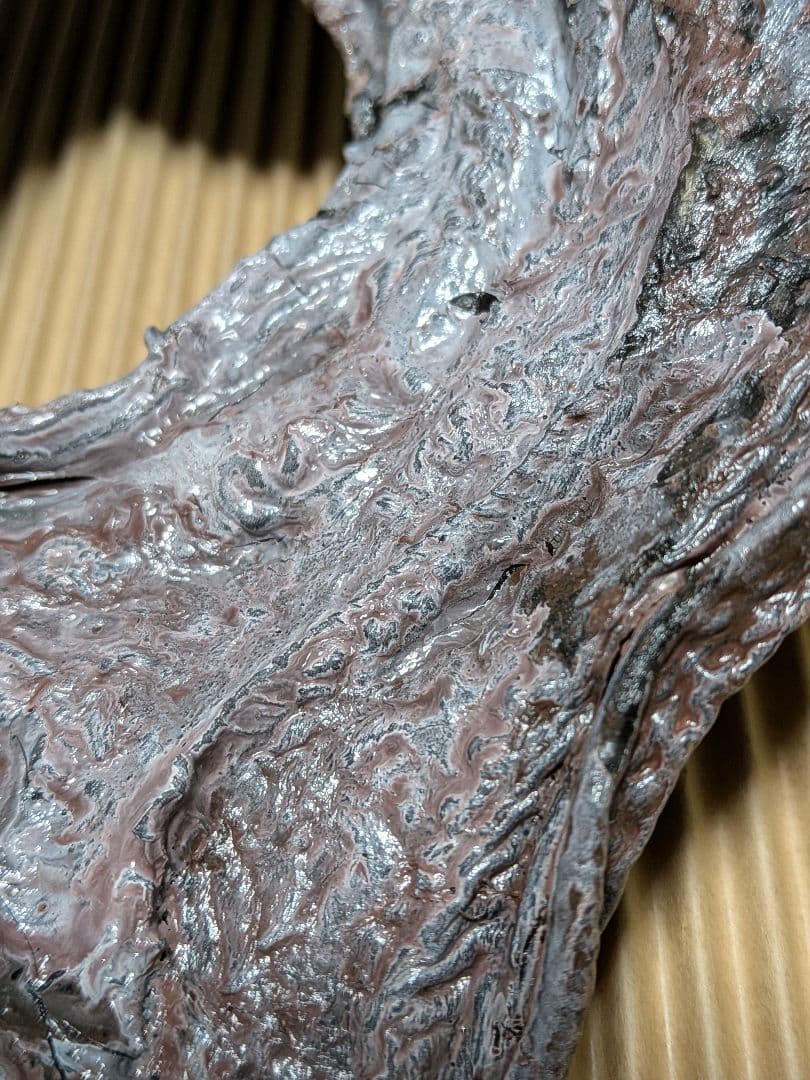 海のギャング四国太平洋産トラウツボマニアックレア標本飾りオブジェ置物