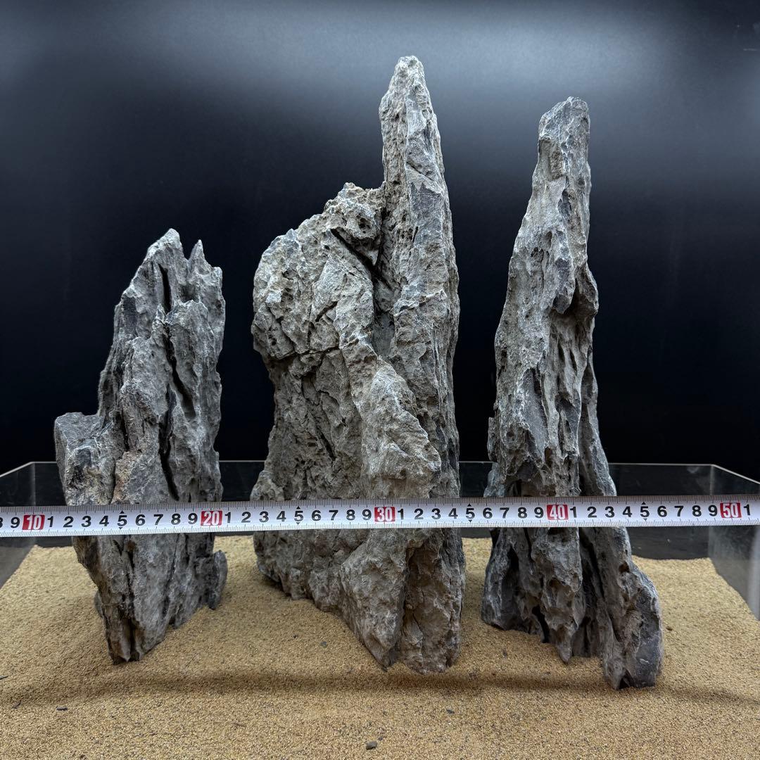 MSS-6912 特大青龍石3点セット 龍王石　竜王石　アクアリウム