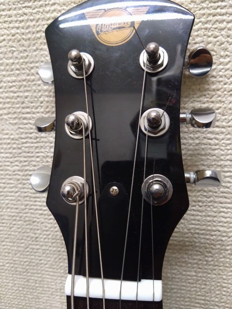 Pignose PGG-200/MBL アンプ内蔵 [新品～使用期間:6ヶ月]