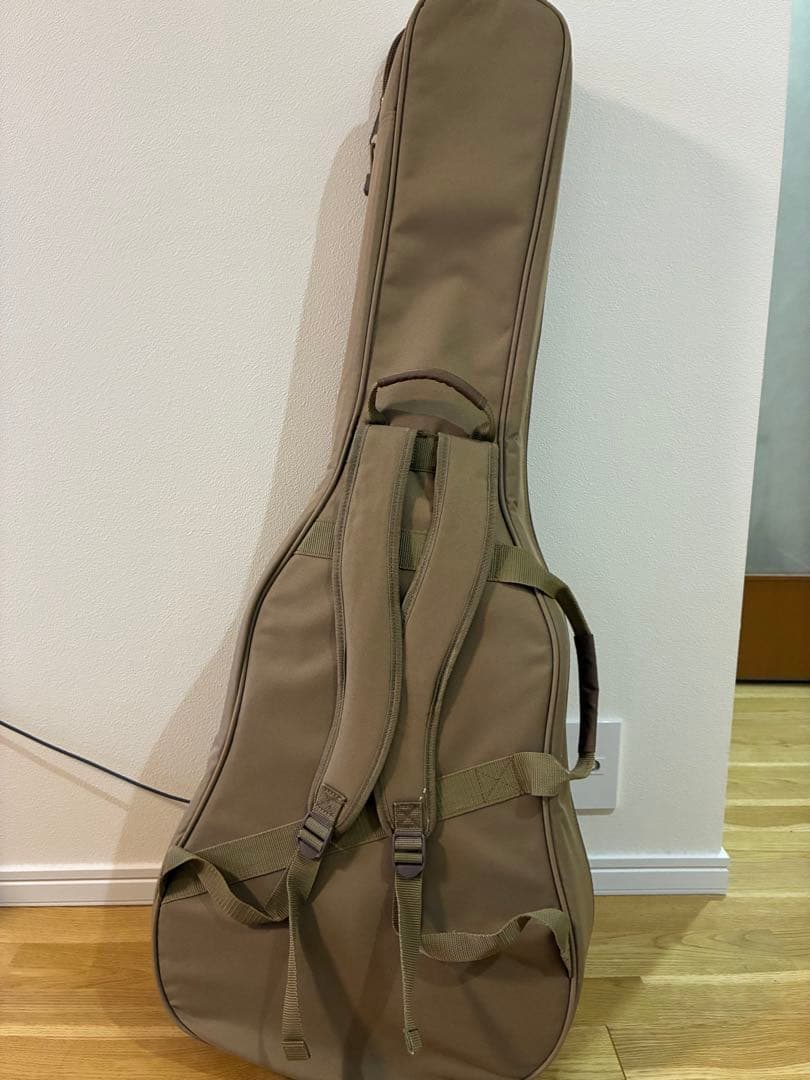 Taylor アコースティックギター(ケース、換えの弦あり)