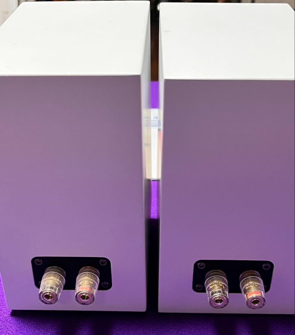 SONY スピーカー　CAS-1W ニアフィールドスピーカー