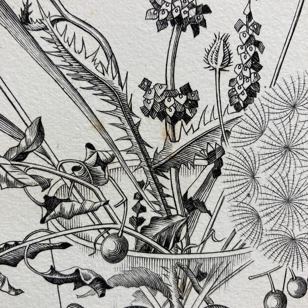 【真作保証】長谷川潔「コップに挿した野花」銅版画 額装 版画 絵画