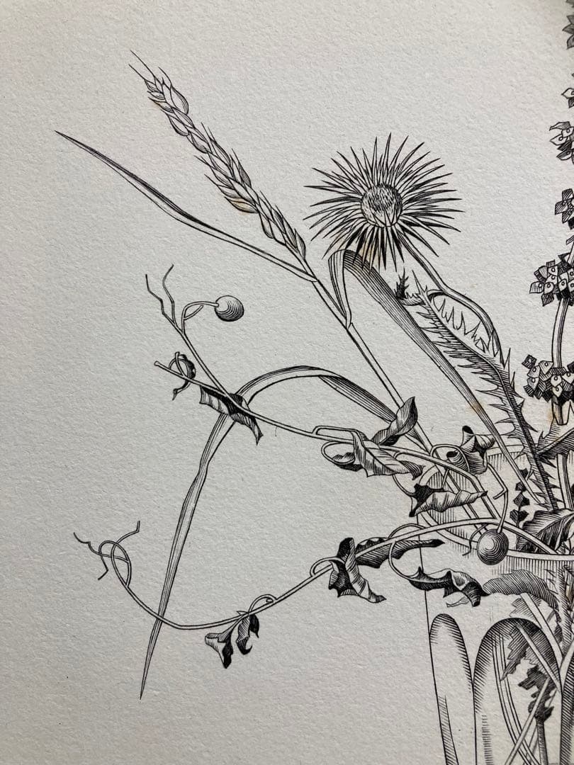 【真作保証】長谷川潔「コップに挿した野花」銅版画 額装 版画 絵画