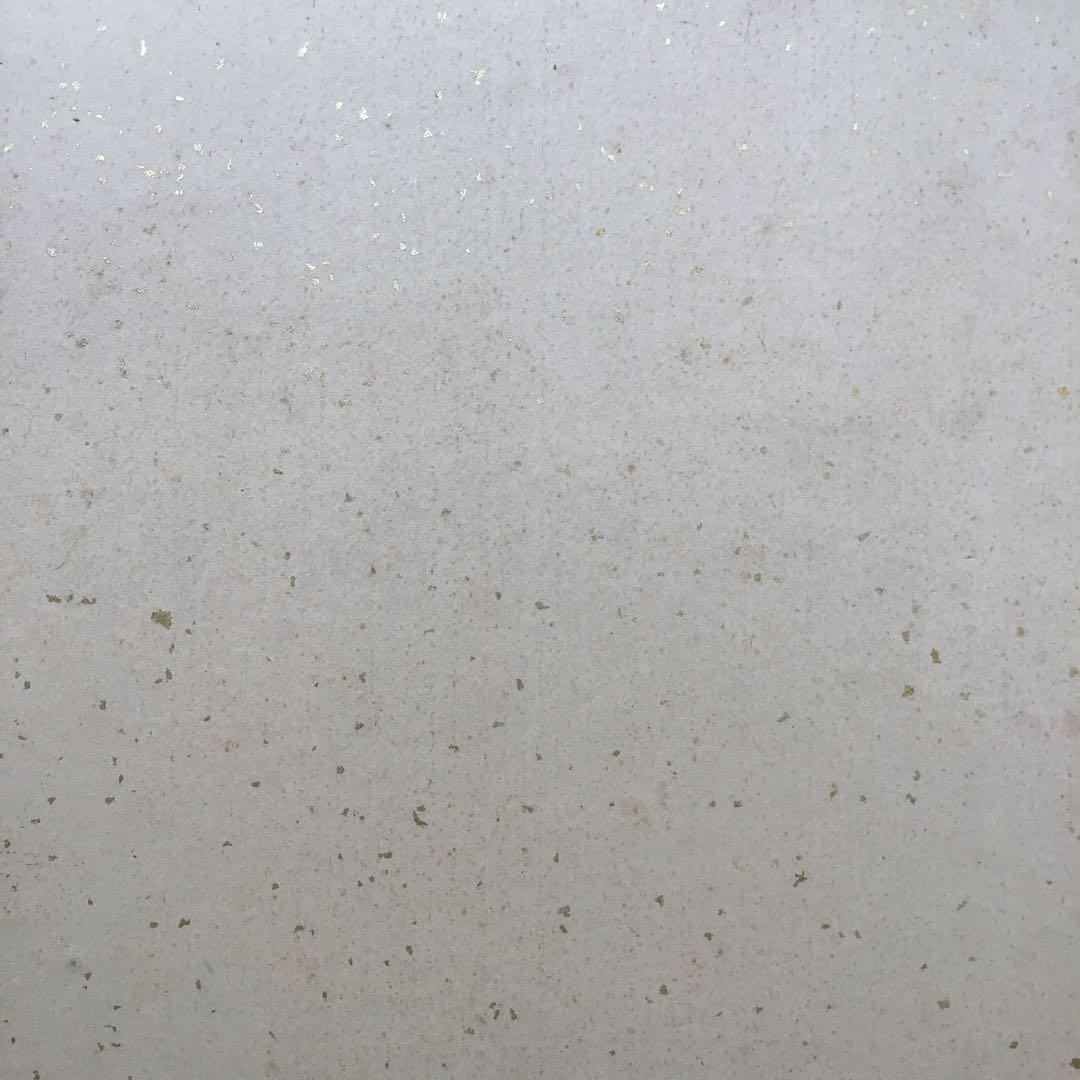 色紙　松、鶴、旭日を金地に描いた吉祥画　配送用袋　S1039SS