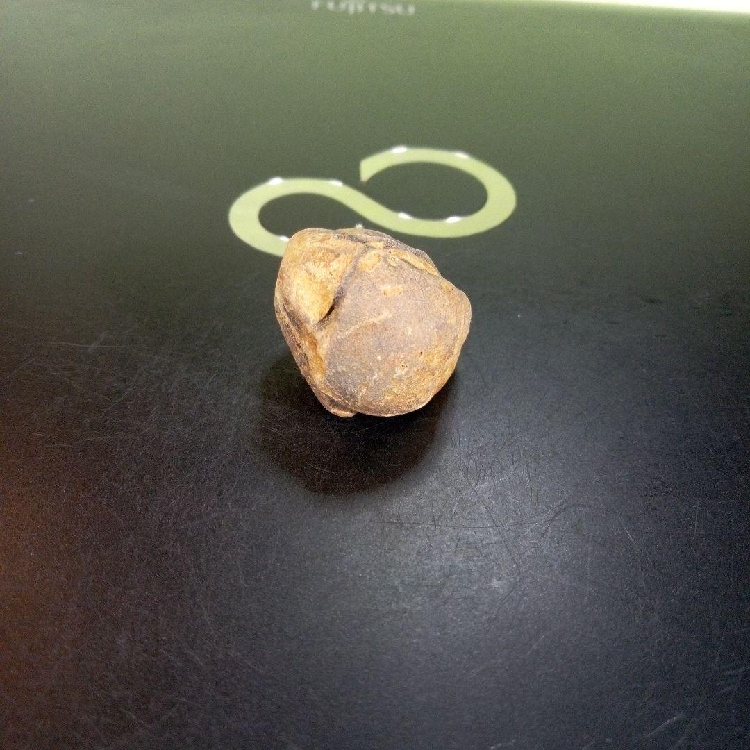 三葉虫　化石　fossil　ボリビア産　trilobite　Bolivia化石⑦