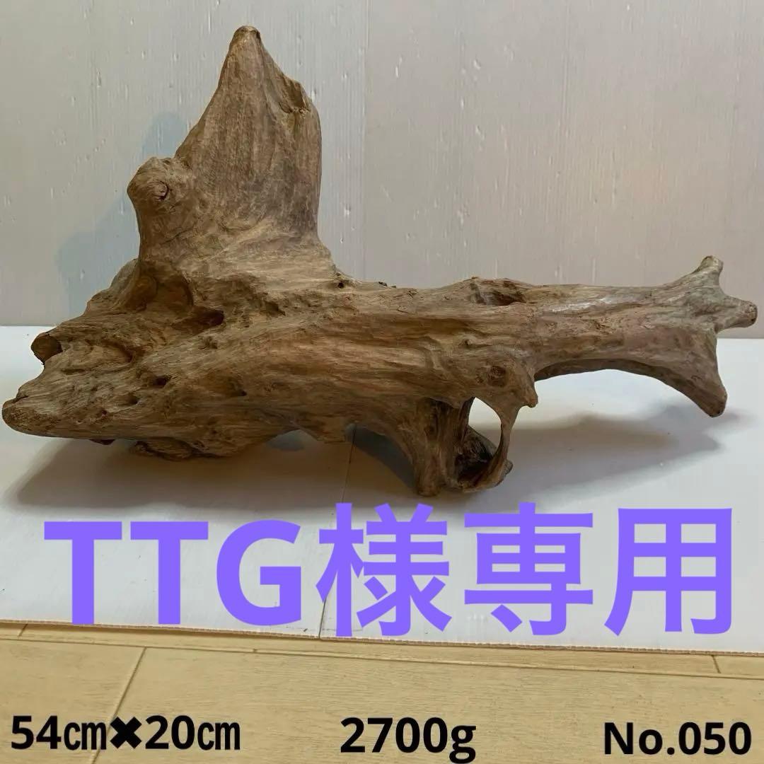 アク抜き済み流木　No.050 .039.031.239.393