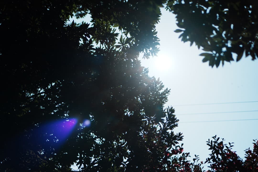 【ほぼ新品】ソニー E 35mm F1.8 OSS 単焦点レンズ メーカー保証