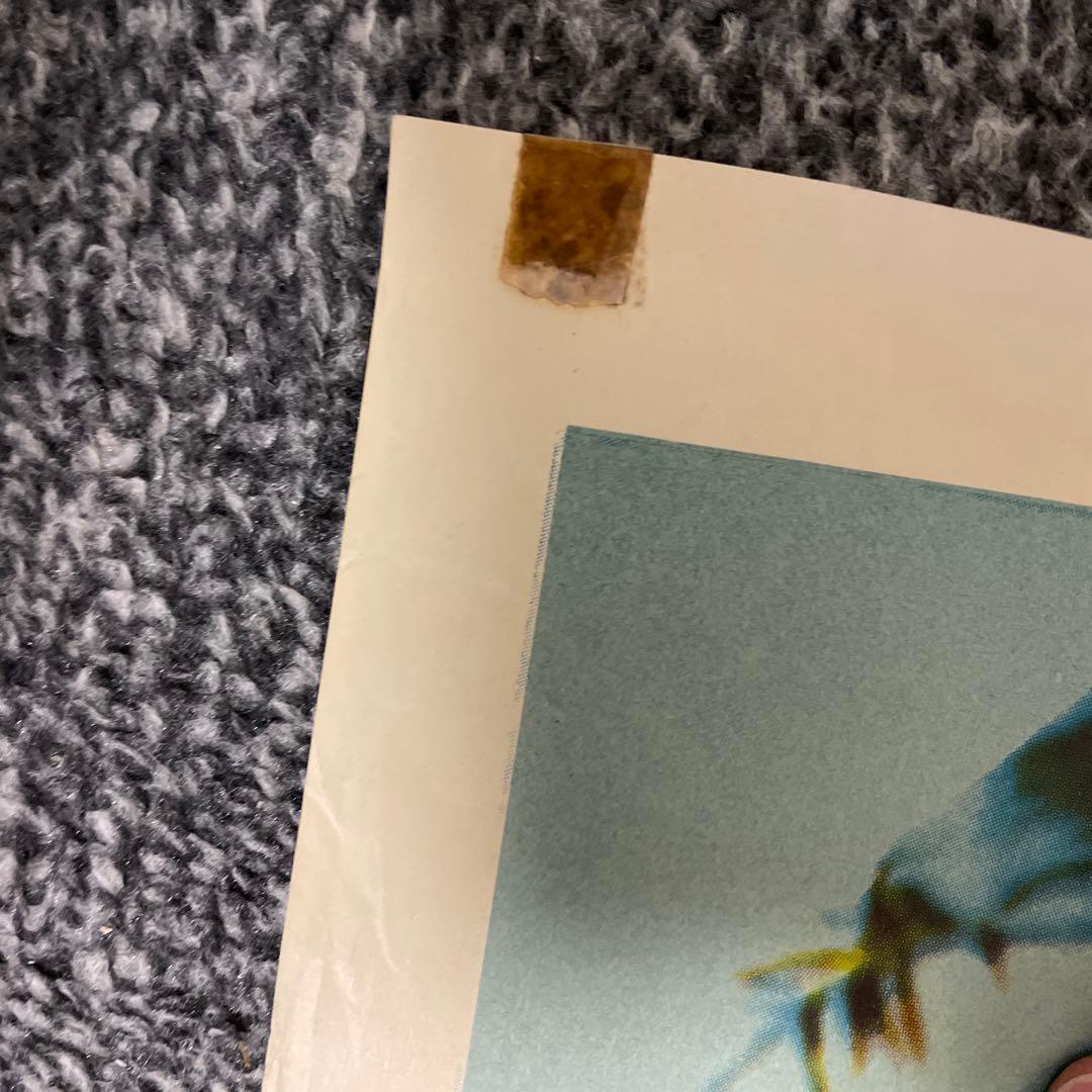 Vintage travel poster ‘New Zealand’