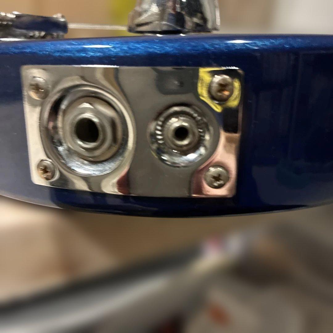 ピグノーズPGG200 青