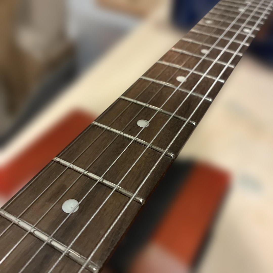 ピグノーズPGG200 青