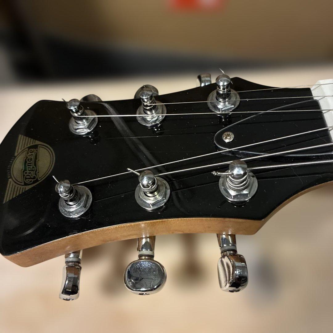 ピグノーズPGG200 青