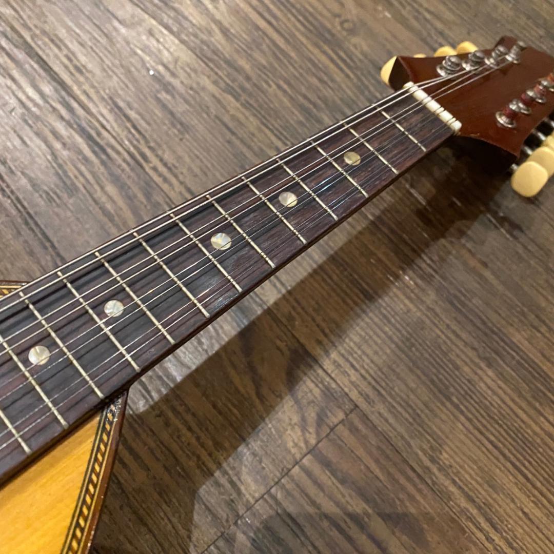 SUZUKI No.228 1972年 スズキ マンドリン -x269-