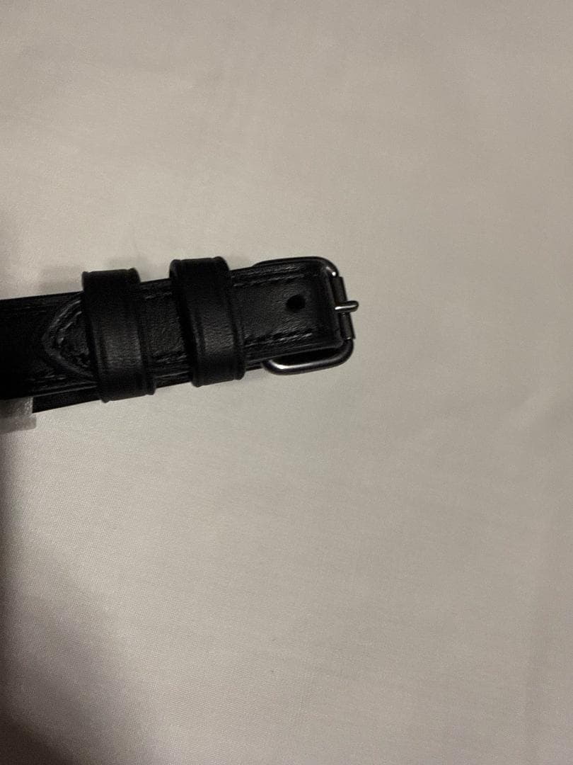 COACH ネームタグ シグネチャー ラゲッジタグ グリーンマルチ