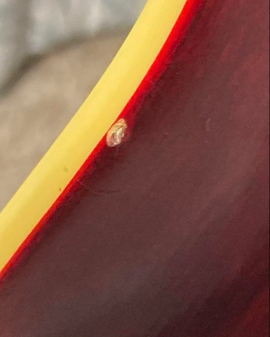 Epiphone Les Paul エレキギターサンバースト　ベルト付