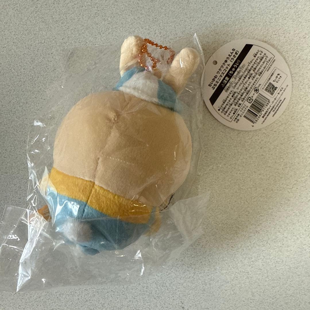 ちいかわ　ワクワクゆうえんち　ぷちミニマスコット　5種コンプ　未開封　タグ付