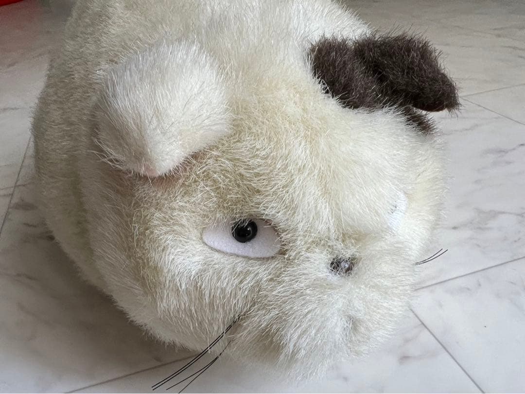 耳をすませば　ムーン　デブ猫