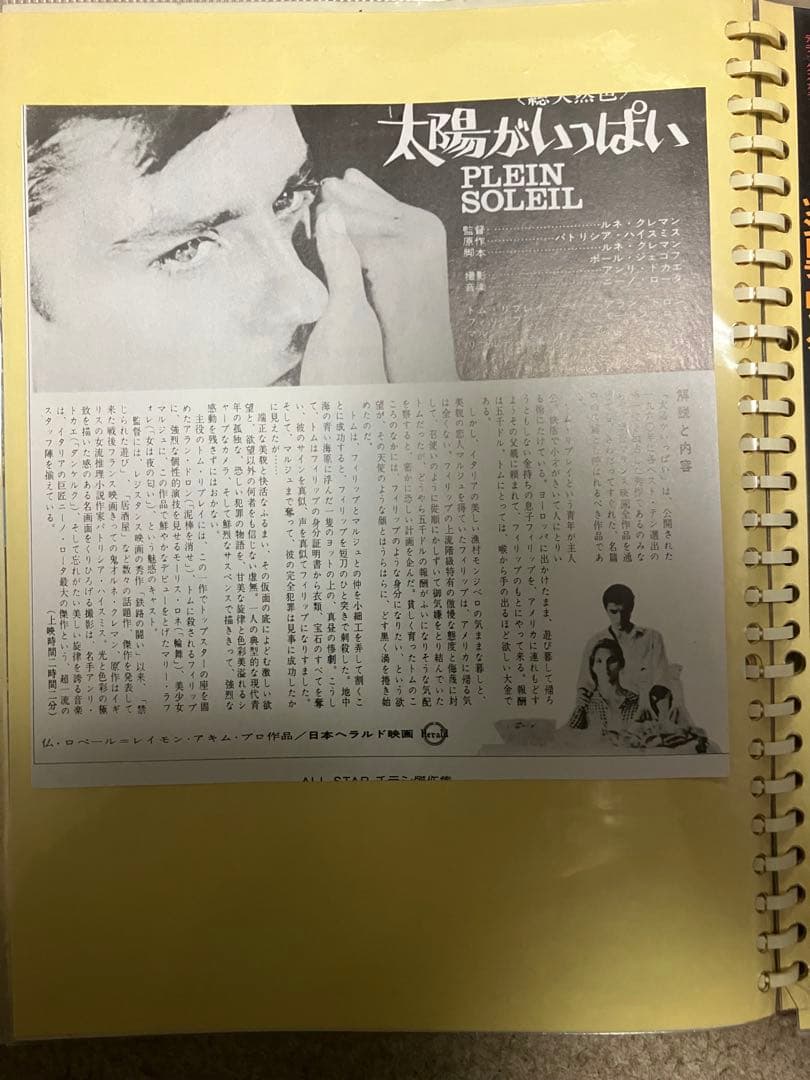 太陽がいっぱい フライヤー