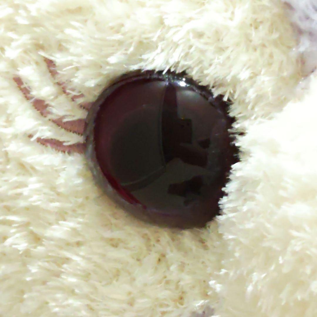 【タグ付き】ステラルー Mサイズ 2019年 クリスマス 限定