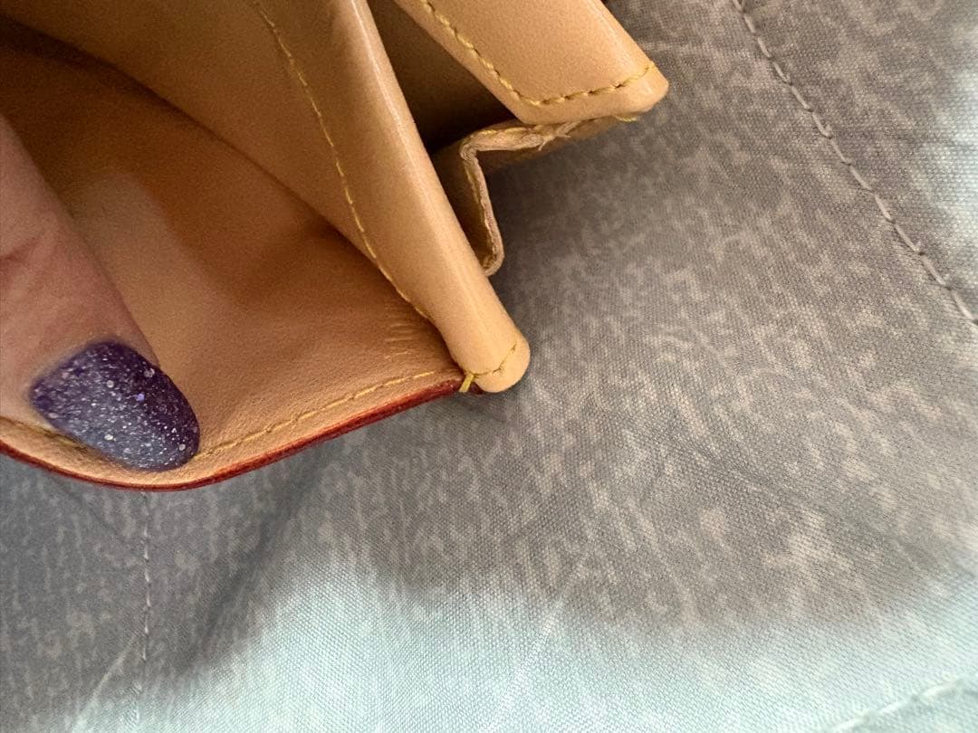 Louis Vuitton モノグラム・マルチカラー ケース