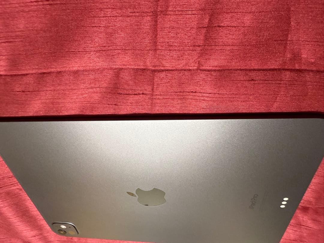 か*ん様 iPad Pro (M4)Wi-Fi 11インチ　256GB