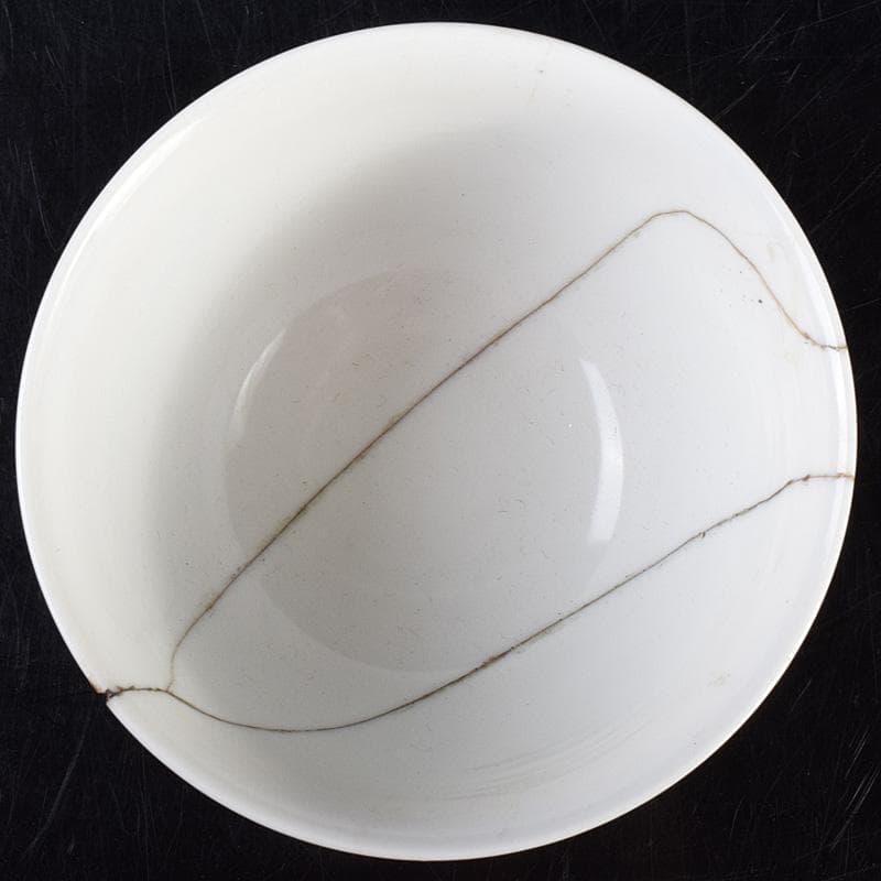 中国　大清光緒年製　粉彩花昆虫文碗　V　7805E